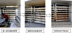佰衡公司在黑龙江成功建立热泵烤房烘干猴头菇示范点